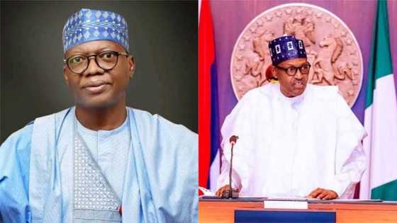 Why FG should be ruthless with bandits - Prominent APC senator reveals