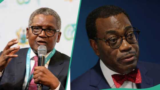 Shugaban bankin cigaban Afrika, Akinwumi Adesina ya fadi illar 'bita da kulli' ga matatar dangote