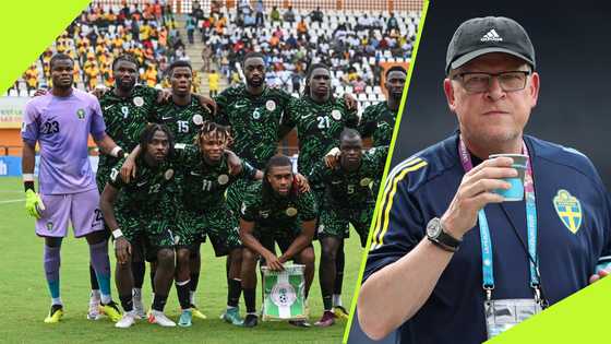 NFF to announce interim coach for Super Eagles clash vs Benin and Rwanda: report