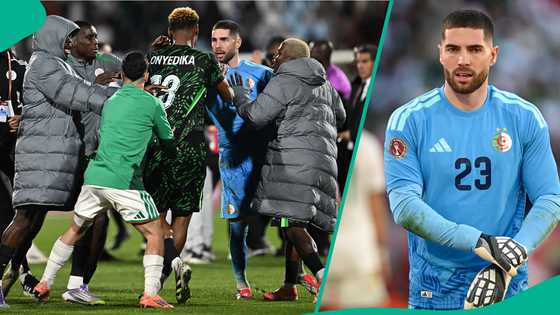 AFCON 2025: CAF suspends Luca Zidane, sanctions Algeria over fight after Nigeria clash