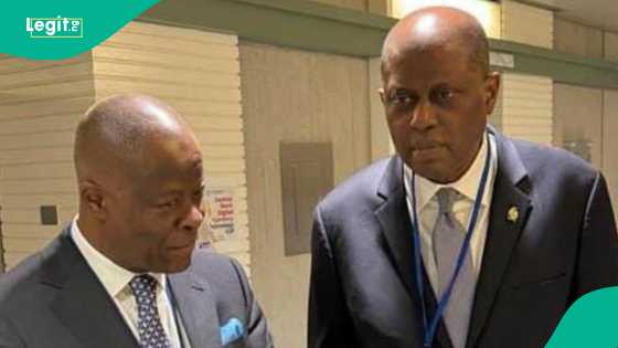Nigeria's economy: Tinubu's top appointee speaks on how presidency reportedly tamed inflation