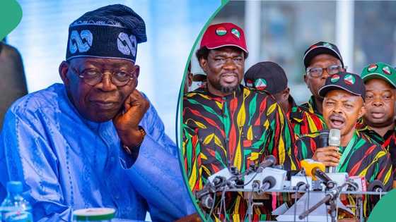Retirement, pension: Tinubu gets fresh request from NLC on payment, “Give us 50%”