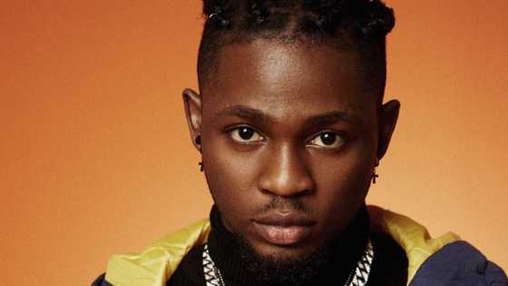 Omah Lay biography, lyrics: Who is this up and coming musician?