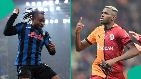 Comparing Osimhen's stats at Galatasaray to Lookman's numbers at Atalanta this season