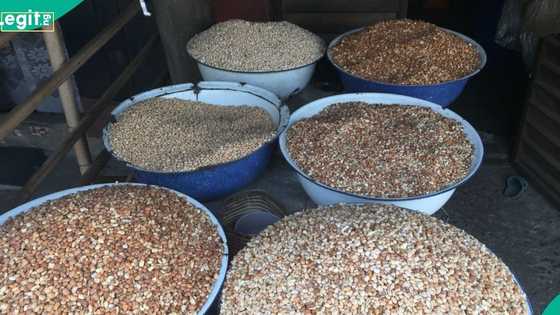 Traders increase prices for beans across major markets
