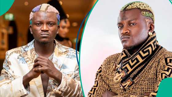 Portable loses 100,000 Instagram followers after protest video: "Account wey he go still lose"