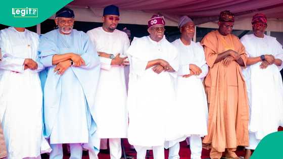Yadda Tinubu ya barar da goyon bayan Arewa cikin shekaru 3 in ji kusa a ADC