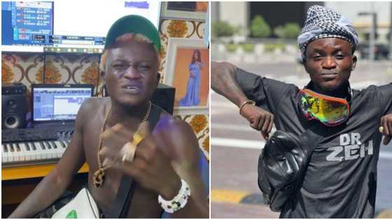 "Na show money I collect": Portable cries out over his safety, says he didn't know he was going for APC rally