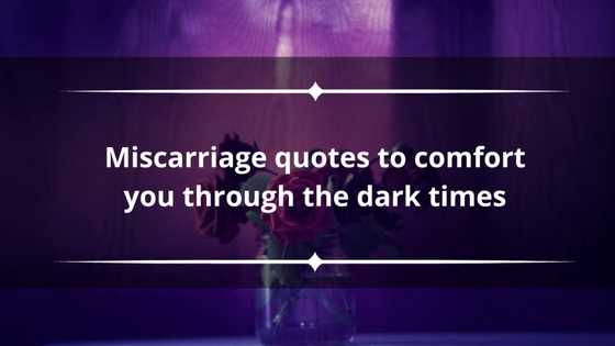 40+ miscarriage quotes to comfort you through the dark times