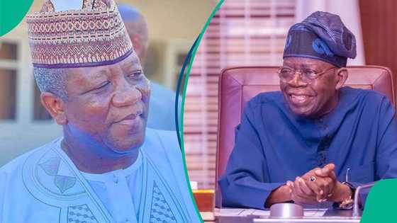 Abdulaziz Yari ya fadi sirri da ya kama aikin tallar Tinubu babu kama hannun yaro