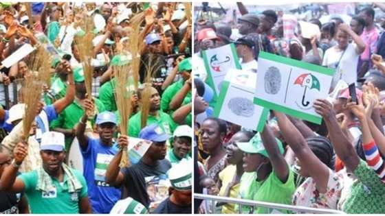 2023: Yemi Osinbajo and the mighty wind by Wale Adeduro