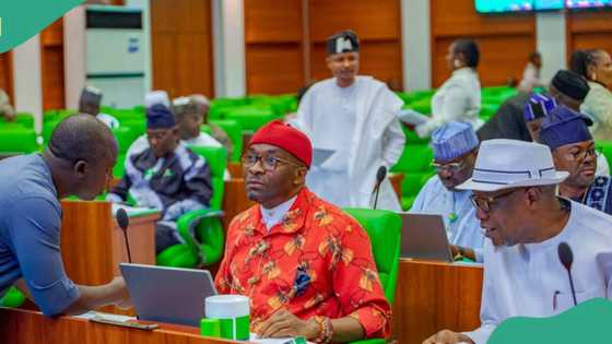 Reps move to make voting compulsory for Nigerians above 18, details emerge