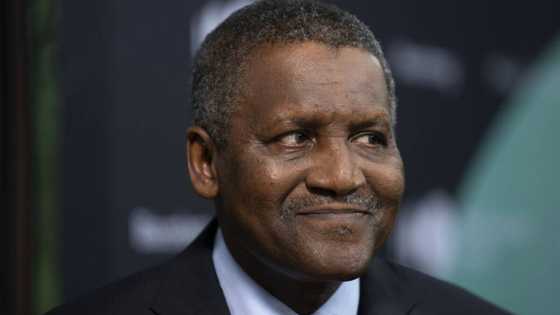 From bag to truck: List of 10 companies owned by Aliko Dangote you've never heard of