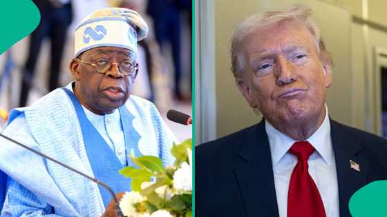 Da gaske Trump ya gargadi Tinubu kan harin bama bamai a Maiduguri?