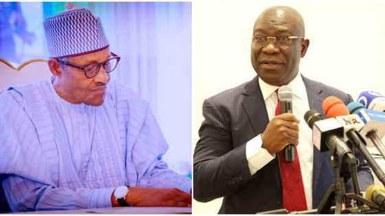 Ohanaeze Ndigbo fires Buhari govt over Ekweremadu's ordeal, reveals next step