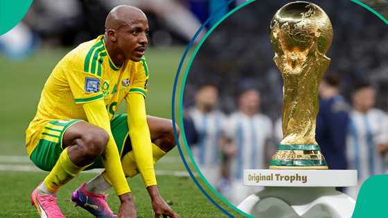 "Go home and protect your jobs": Nigerians celebrate as South Africa crash out of World Cup