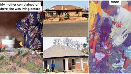 "She deserves more": Young Nigerian man builds mum a fine house after she complained, video wows many
