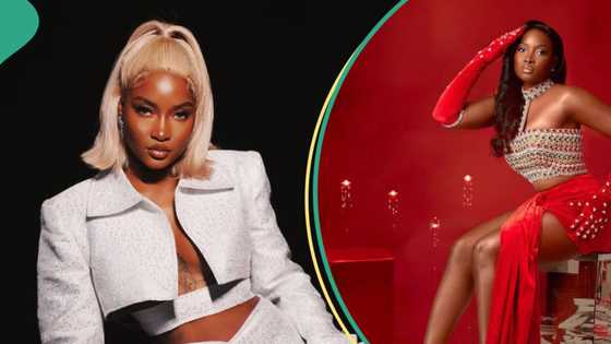 "I am having my empire soon": BBNaija Ilebaye boasts as she shares her plan with fans
