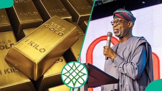FG responds as Northern elders fault alleged location of proposed 'national gold refinery' in Lagos