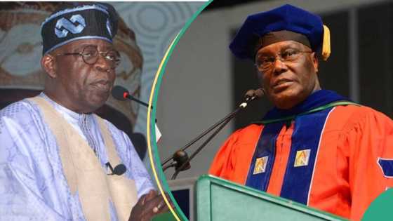 Tinubu vs hunger protesters: Presidency knocks Atiku, gives reason