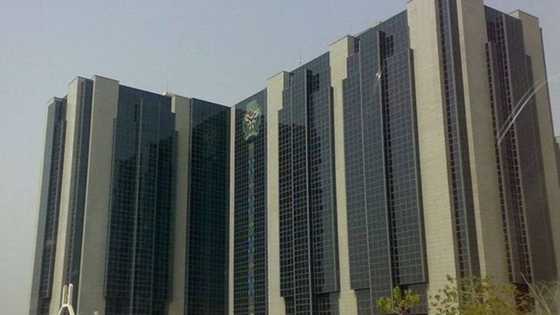 FAAN, CBN: Yadda muka yi da Sanata Ndume da ya kira ni a waya da dare - Okupe