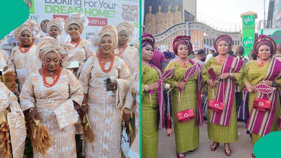 Viral videos capture moment Ogun Gov, Tinubu's Son, top senator storm Ojude Oba 2026 festival
