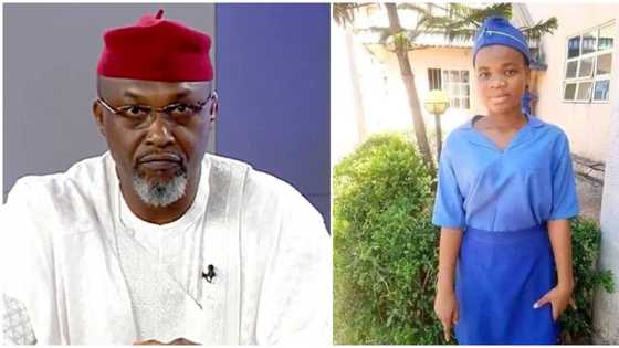 UTME fraud: Owner of JAMB CBT centre where Mmesoma Ejikeme wrote exam gives update after candidate confessed