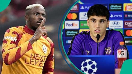 Barcelona defender discloses plan to stop Victor Osimhen ahead of Champions League clash