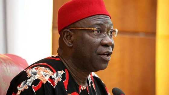 59th Independence: Ekweremadu reiterates need for decentralised policing