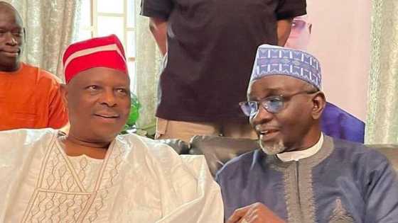 Kai mayaudari ne: Shekarau ya dira kan Kwankwaso, ya fasa kwai kan maganar sauya sheka