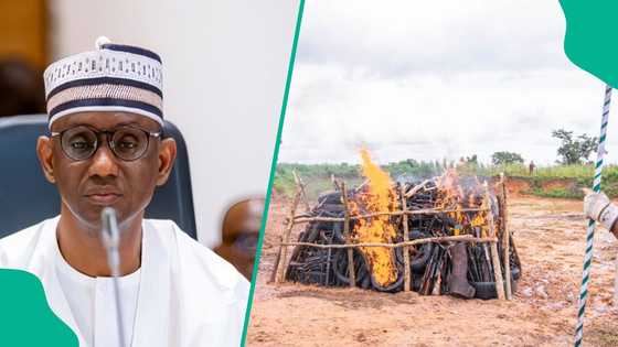 Breaking: Photos emerge as FG destroys over 2000 deadly weapons, vows to take another action