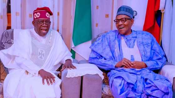 Southeast politician Simon Okeke asks Buhari, CJN to stop Tinubu's inauguration, gives reason