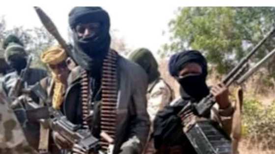 Zamfara: Ƴan bindiga sun kashe mutum 33 saboda ƙin biyan harajin N40m da suka saka a wasu ƙauyuka