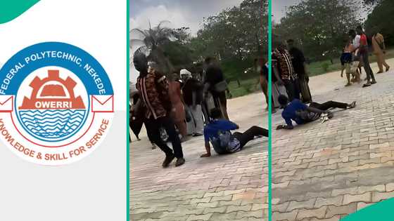 Federal Polytechnic Nekede suspends teacher for assaulting sick student, launches investigation