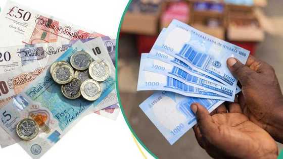 CBN updates pound, euro new exchange rates as naira hit new low against dollar