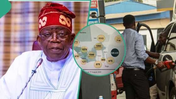 “N900 per litre”: FG releases chart showing Nigerians enjoy cheap petrol compare to 14 African countries