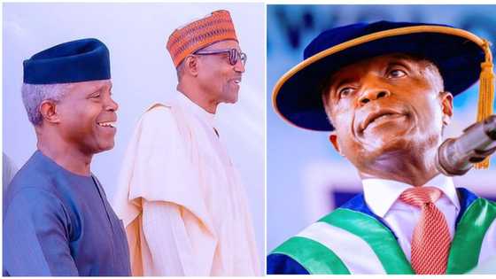 Firing of Daura, alleged religious bias: 7 things Buhari’s ‘star boy’, Yemi Osinbajo will be remembered for