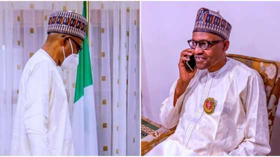 See how President Buhari joyfully celebrated the rescue of abducted Kankara students (photos)