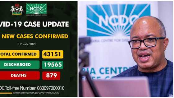 Dalilin da ya yasa aka daina samun masu Korona da yawa a Najeriya - NCDC