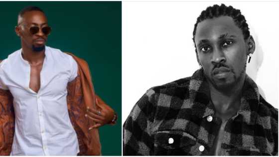 Romeo no do pass this: Singer Orezi mocks Saga for losing focus on BBNaija's N90 million prize because of love