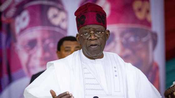 APC presidential primaries: List of states Tinubu, Osinbajo, others may win
