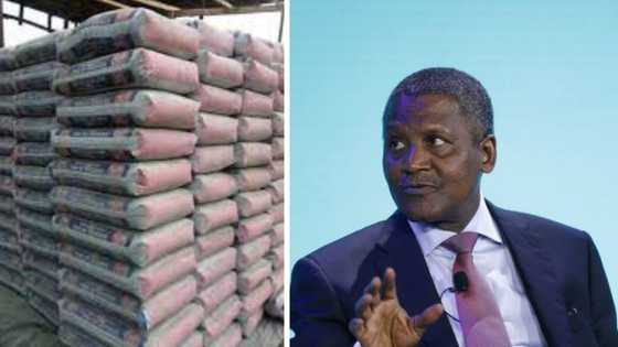 "More money": Dangote, other cement producers in Nigera record over N600bn revenue in 3 Months