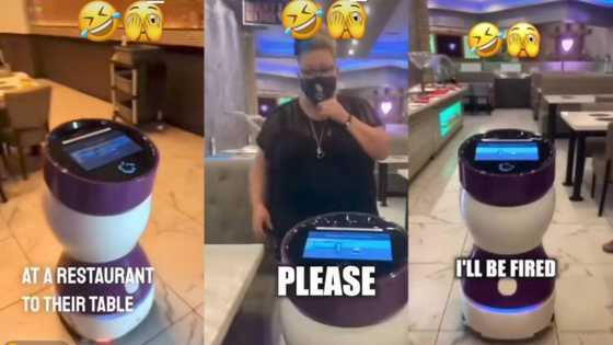 "I will be sacked": Robot waiter gets angry to customer who blocks its way, video goes viral on TikTok