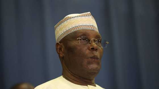 Tribunal: PDP won 21 states at presidential polls? Details emerge in Atiku's address to INEC