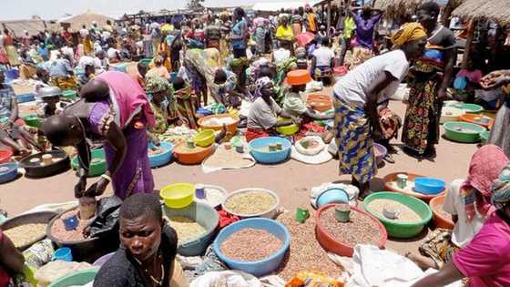 Farashin kayan abinci ya fadi warwas a jihar Taraba, a Kano, Katsina, Benue da Nasarawa abun babu sauki