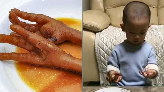 Viral video of little Asian boy’s reaction to cooked chicken feet has the internet laughing out loud