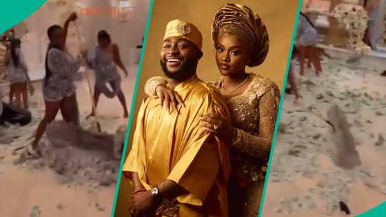 Chivido 2024: Video of ladies using broom to sweep dollars after a party goes viral