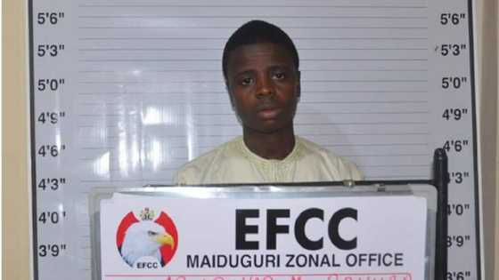 Borno: An kama Malam Ayu da ya amshe miliyoyi hannun wani da sunan zai mayar da shi attajiri cikin sati biyu