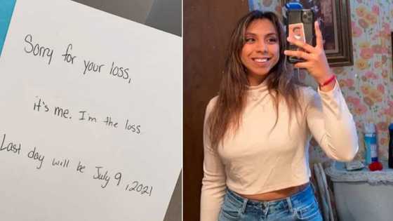 Woman writes funny resignation letter, tells her boss sorry as she 'quits job', many react