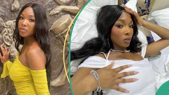 “Need you in my life”: Toaster woos BBNaija Vee, offers her N11 million, she reacts